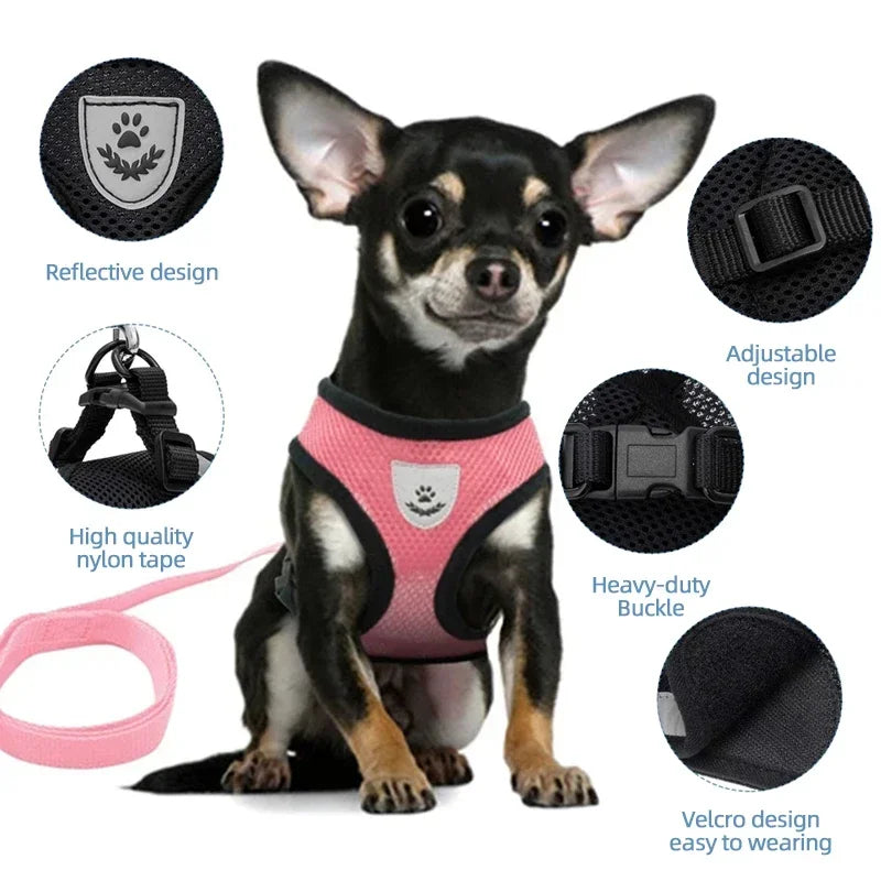 Pet harness leash