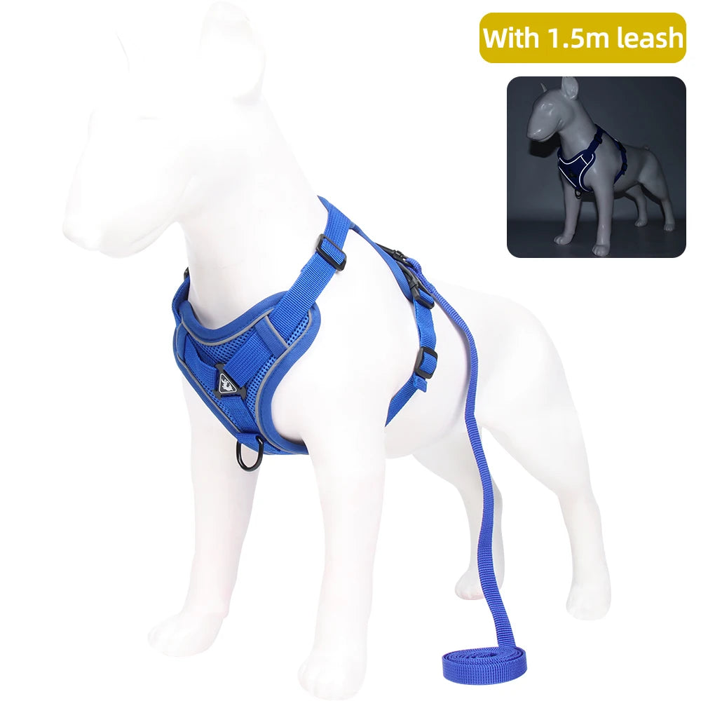 Pet leash for cat and dog