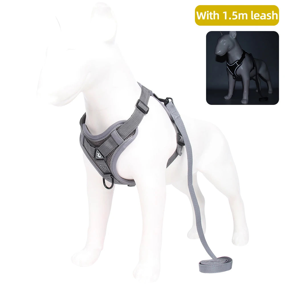 Pet leash for cat and dog