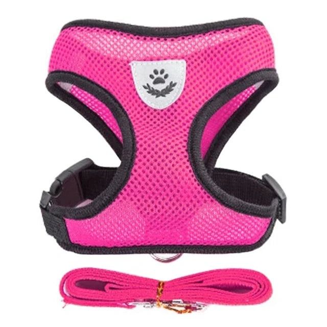 Pet harness leash