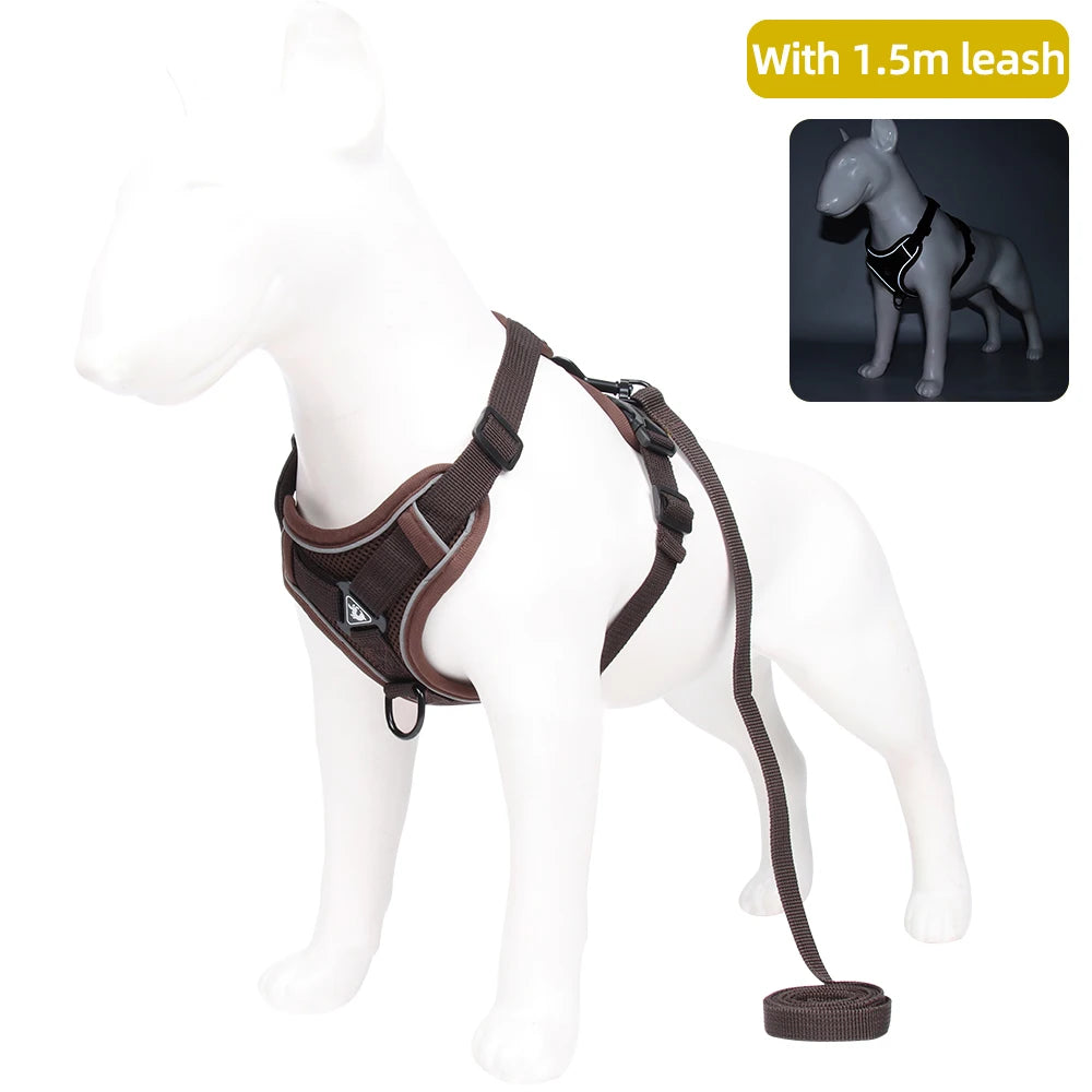 Pet leash for cat and dog