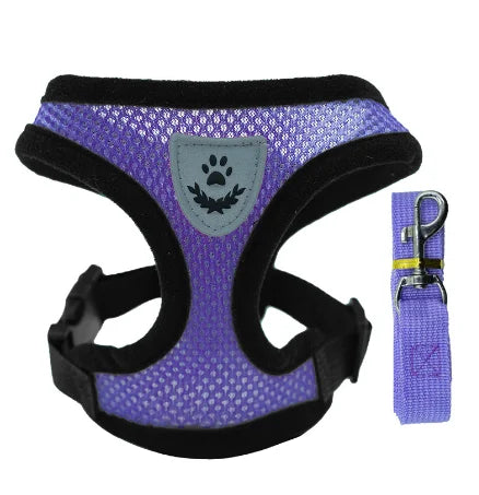 Pet harness leash