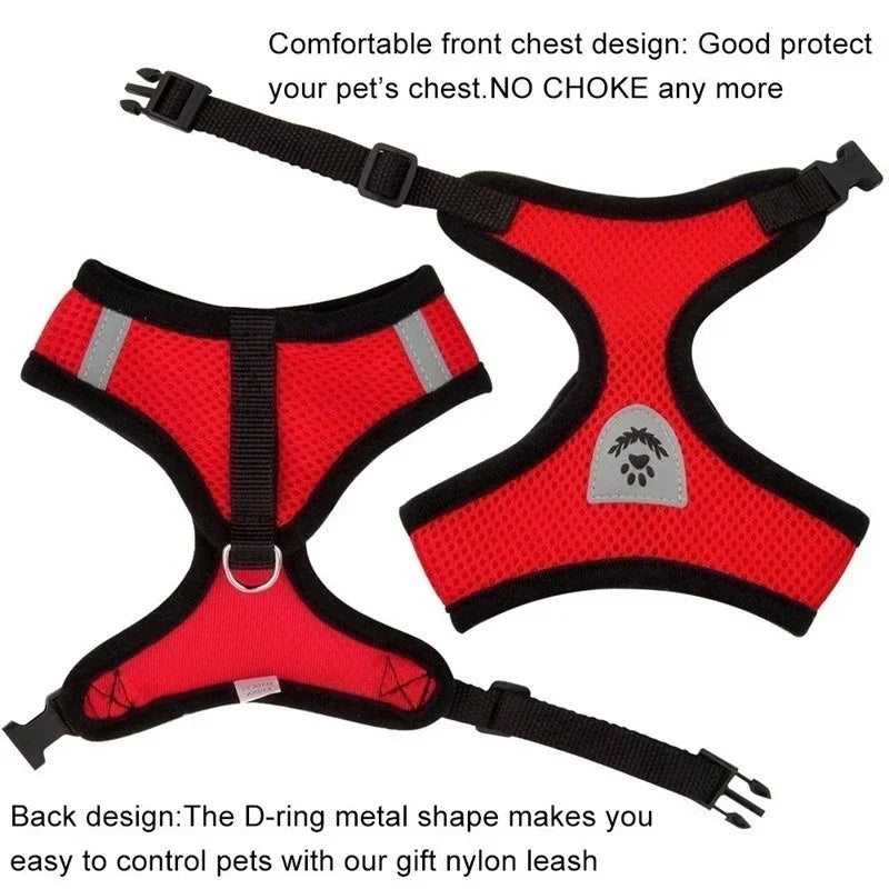 Pet harness leash