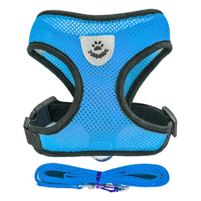 Pet harness leash