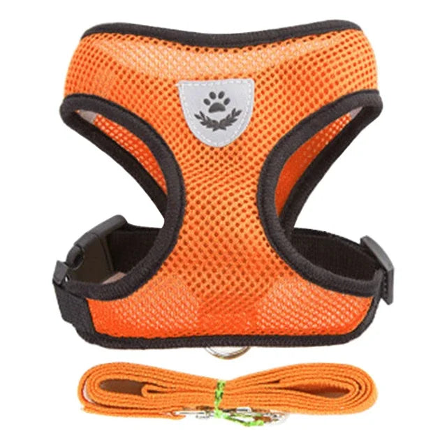 Pet harness leash