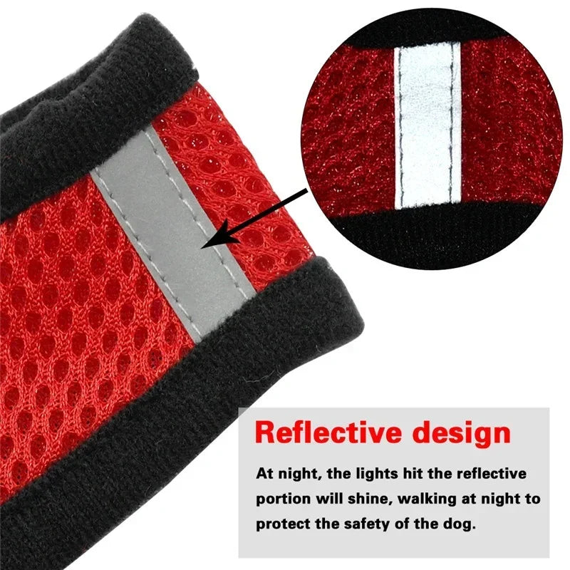 Pet harness leash