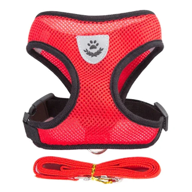 Pet harness leash
