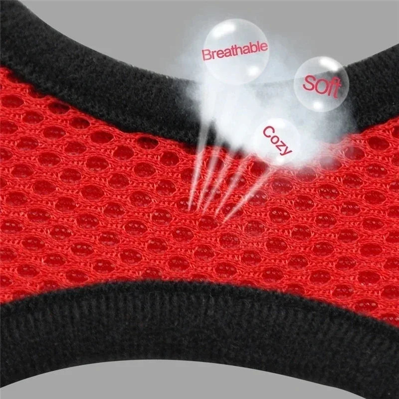 Pet harness leash