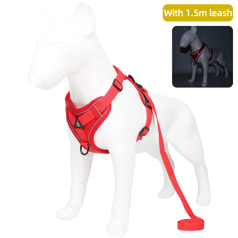Pet leash for cat and dog