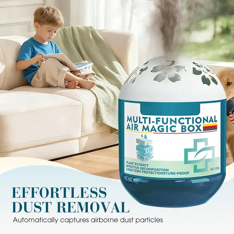 Plant Dust Removal Magic Box (Purify Air and Absorb Dust)