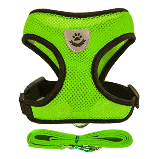 Pet harness leash