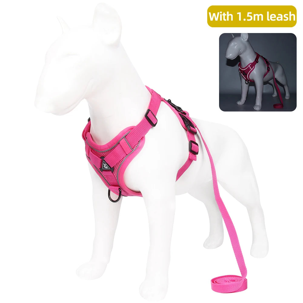 Pet leash for cat and dog