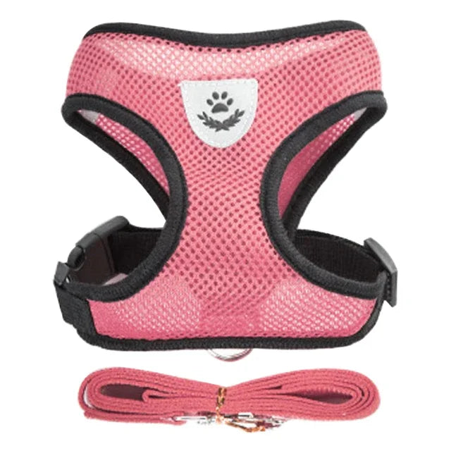 Pet harness leash