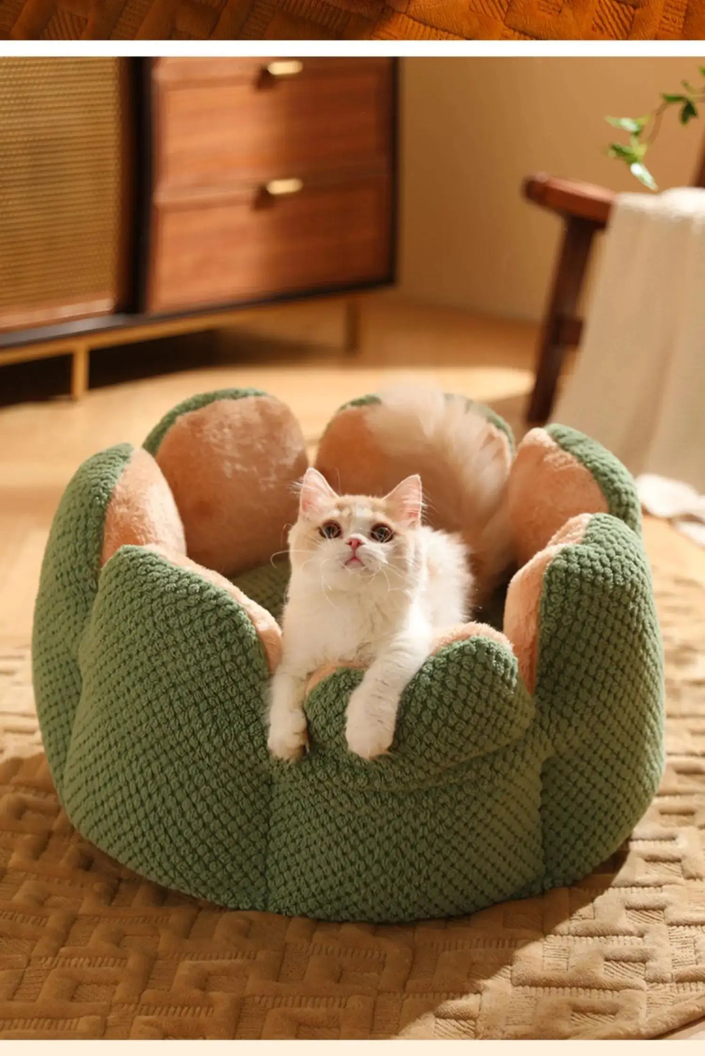Cactus Thron Pet Bed - Stimuliert den Schlafkomfort