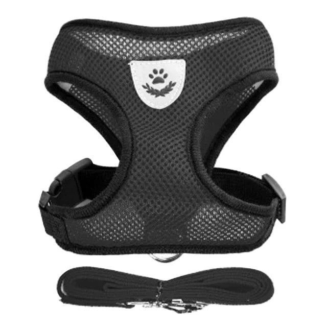 Pet harness leash