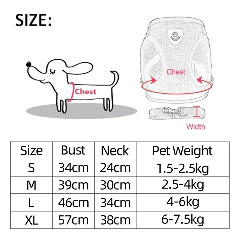 Pet harness leash