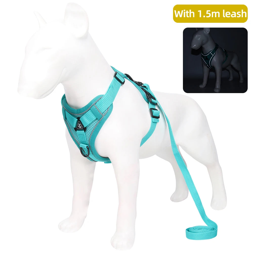 Pet leash for cat and dog